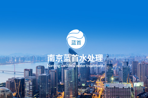 月湖建站-南京蓝首水处理设备有限公司